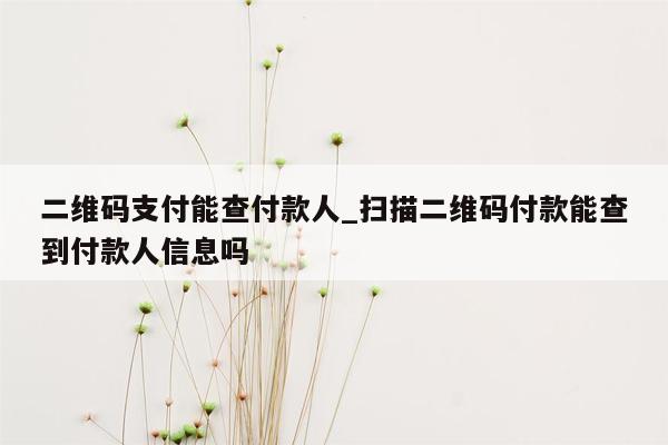 二维码支付能查付款人_扫描二维码付款能查到付款人信息吗