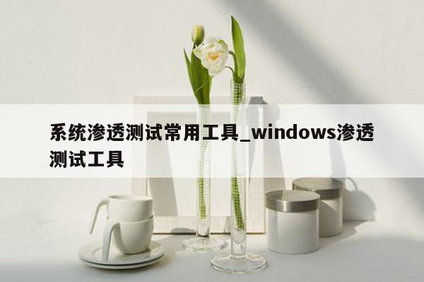 系统渗透测试常用工具_windows渗透测试工具