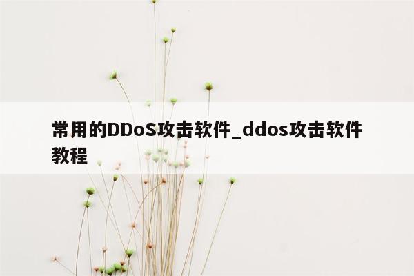 常用的DDoS攻击软件_ddos攻击软件教程