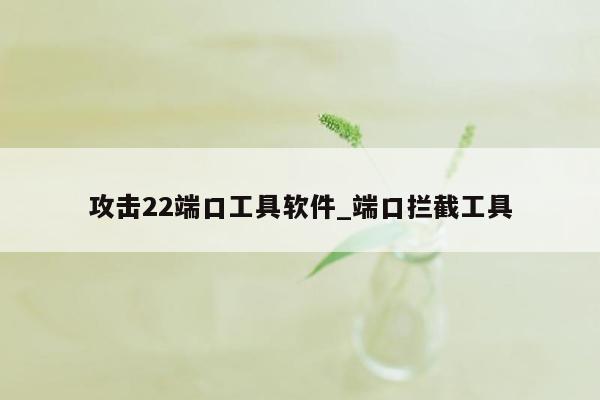 攻击22端口工具软件_端口拦截工具