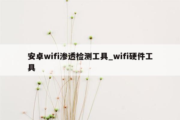 安卓wifi渗透检测工具_wifi硬件工具