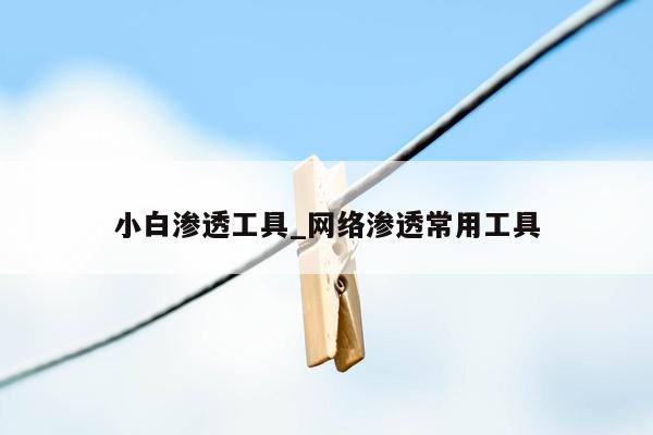 小白渗透工具_网络渗透常用工具
