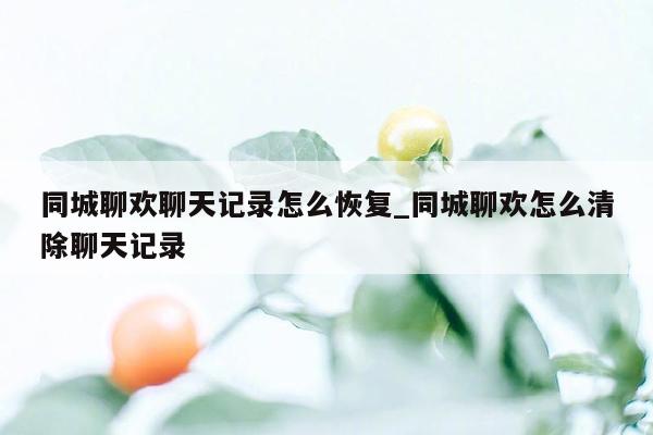 同城聊欢聊天记录怎么恢复_同城聊欢怎么清除聊天记录