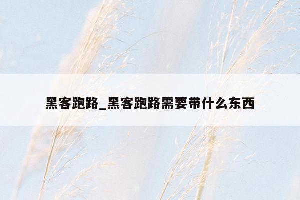 黑客跑路_黑客跑路需要带什么东西