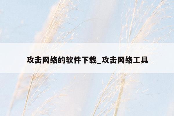 攻击网络的软件下载_攻击网络工具