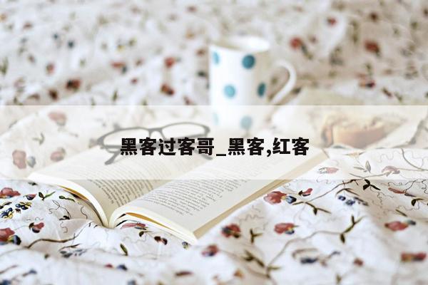 黑客过客哥_黑客,红客