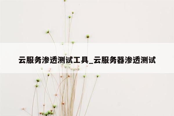 云服务渗透测试工具_云服务器渗透测试