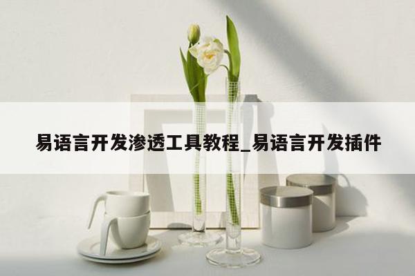 易语言开发渗透工具教程_易语言开发插件