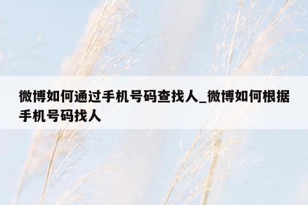 微博如何通过手机号码查找人_微博如何根据手机号码找人