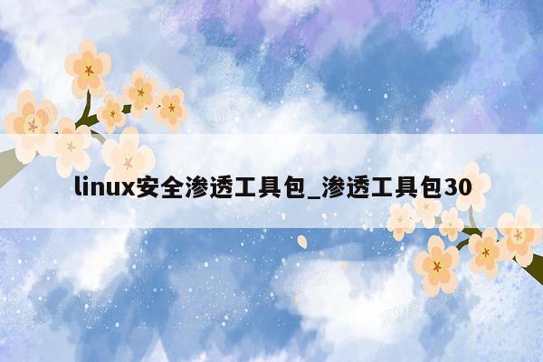 linux安全渗透工具包_渗透工具包30