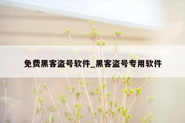 免费黑客盗号软件_黑客盗号专用软件