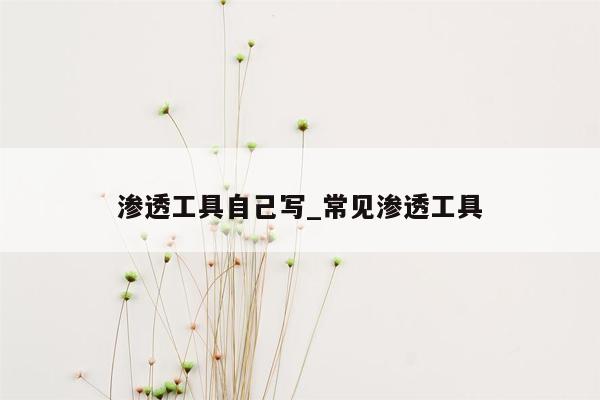 渗透工具自己写_常见渗透工具