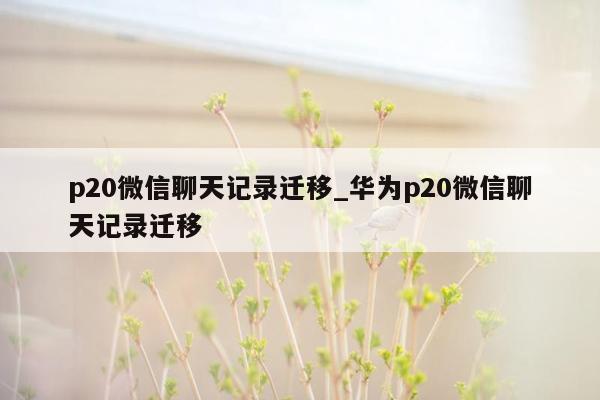 p20微信聊天记录迁移_华为p20微信聊天记录迁移