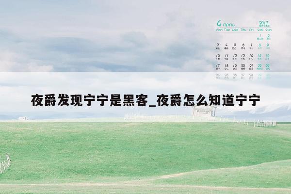 夜爵发现宁宁是黑客_夜爵怎么知道宁宁