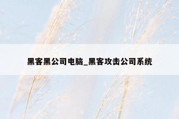 黑客黑公司电脑_黑客攻击公司系统