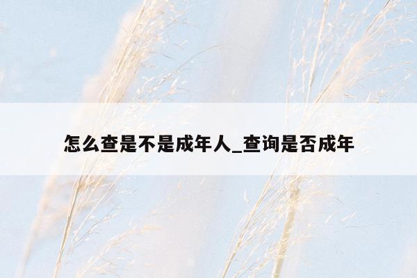 怎么查是不是成年人_查询是否成年
