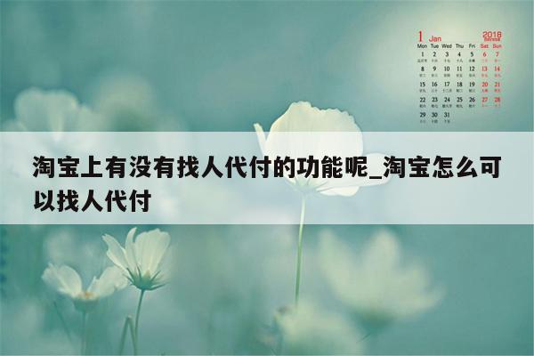 淘宝上有没有找人代付的功能呢_淘宝怎么可以找人代付