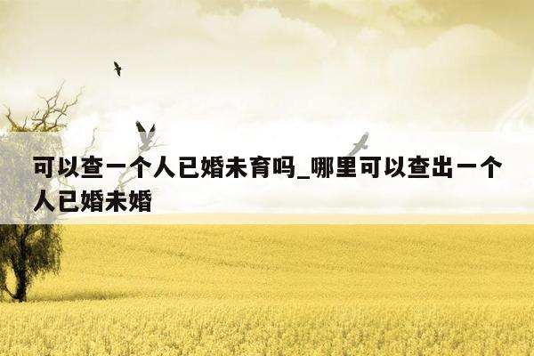 可以查一个人已婚未育吗_哪里可以查出一个人已婚未婚