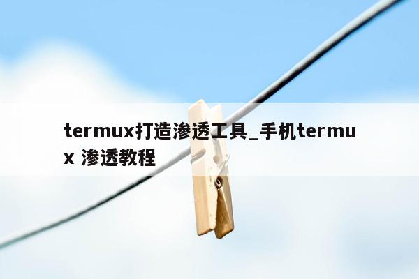 termux打造渗透工具_手机termux 渗透教程