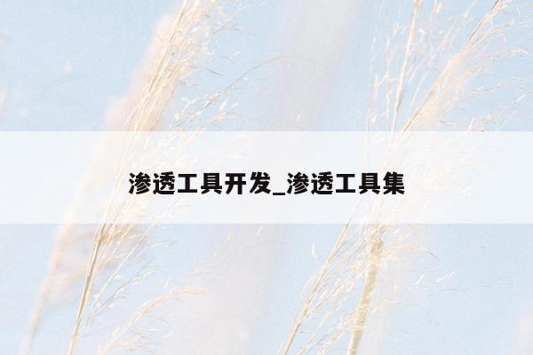 渗透工具开发_渗透工具集