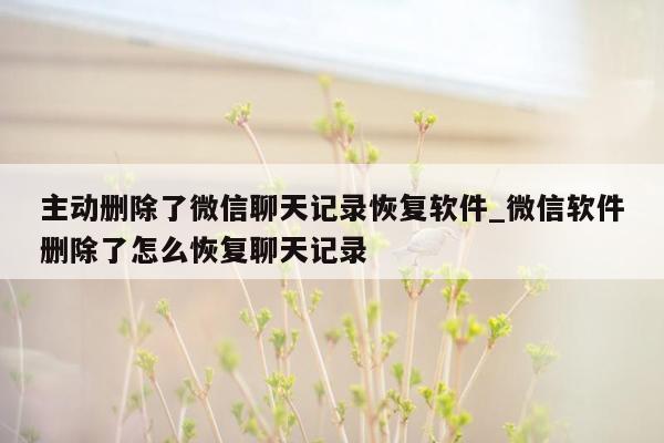 主动删除了微信聊天记录恢复软件_微信软件删除了怎么恢复聊天记录