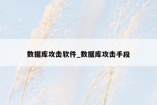 数据库攻击软件_数据库攻击手段