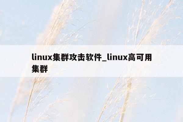 linux集群攻击软件_linux高可用集群