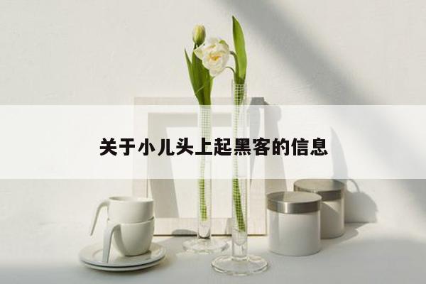 关于小儿头上起黑客的信息