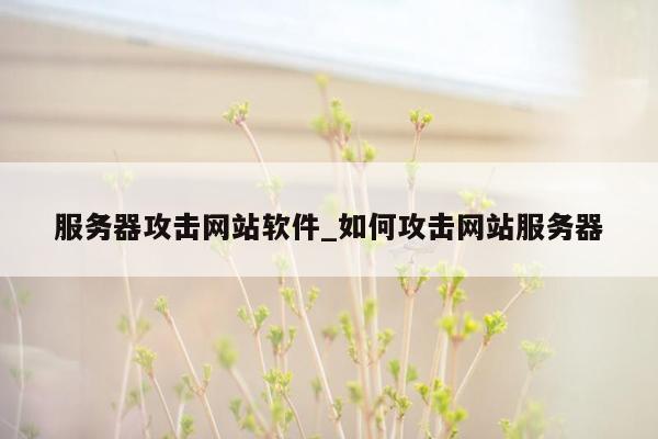 服务器攻击网站软件_如何攻击网站服务器