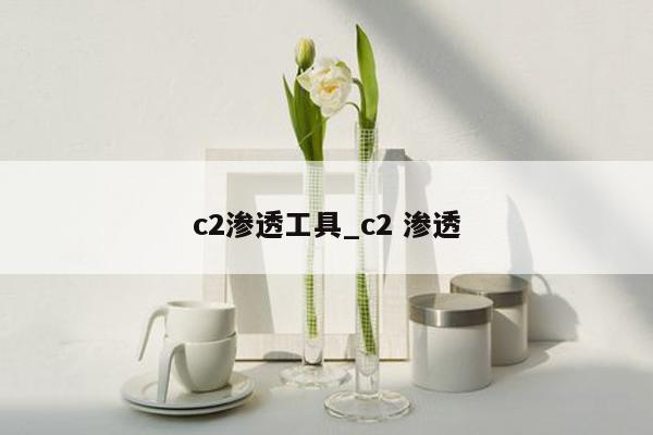 c2渗透工具_c2 渗透