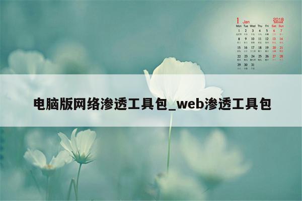 电脑版网络渗透工具包_web渗透工具包
