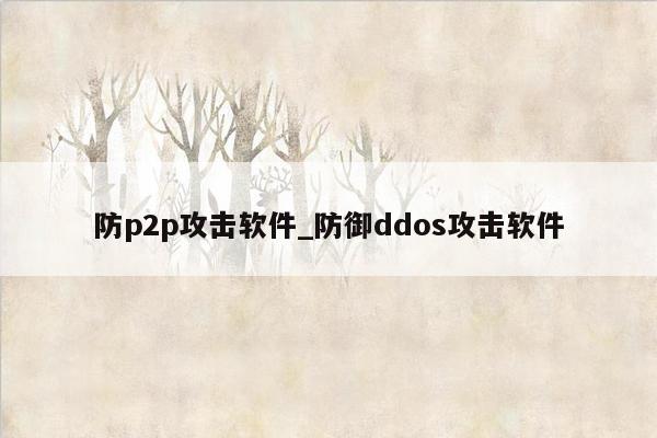 防p2p攻击软件_防御ddos攻击软件