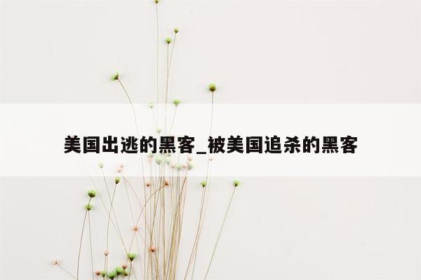 美国出逃的黑客_被美国追杀的黑客