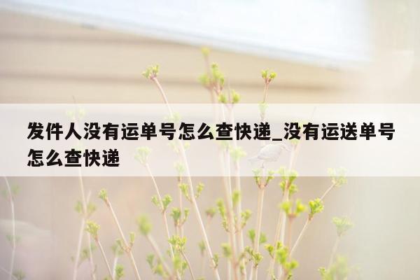 发件人没有运单号怎么查快递_没有运送单号怎么查快递