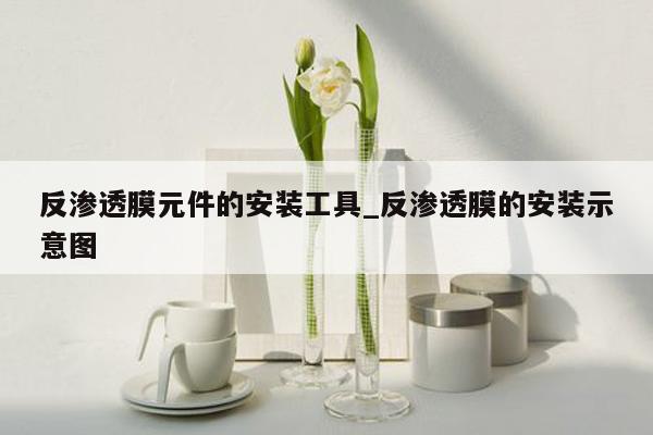 反渗透膜元件的安装工具_反渗透膜的安装示意图