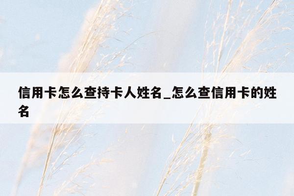 信用卡怎么查持卡人姓名_怎么查信用卡的姓名
