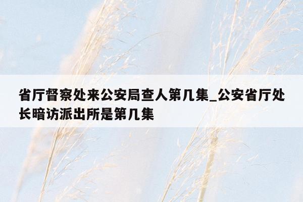 省厅督察处来公安局查人第几集_公安省厅处长暗访派出所是第几集