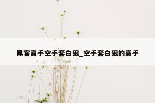 黑客高手空手套白狼_空手套白狼的高手