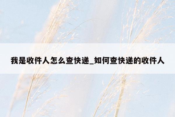 我是收件人怎么查快递_如何查快递的收件人