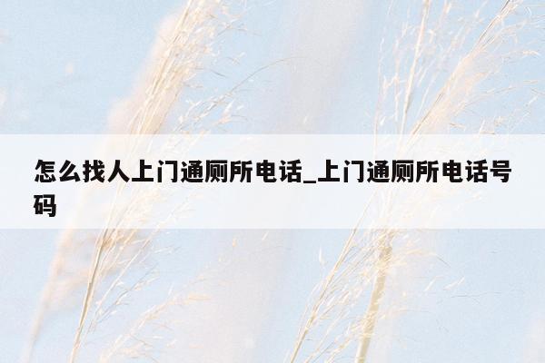 怎么找人上门通厕所电话_上门通厕所电话号码