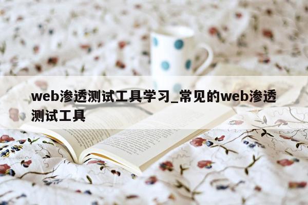 web渗透测试工具学习_常见的web渗透测试工具
