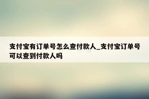 支付宝有订单号怎么查付款人_支付宝订单号可以查到付款人吗