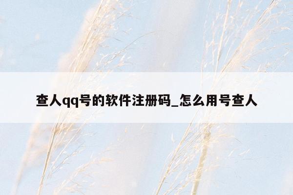 查人qq号的软件注册码_怎么用号查人