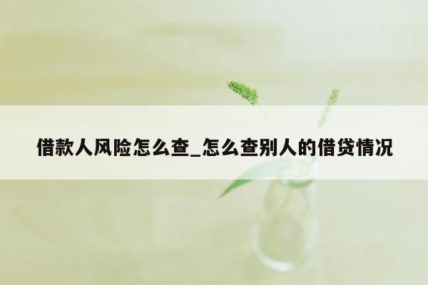 借款人风险怎么查_怎么查别人的借贷情况