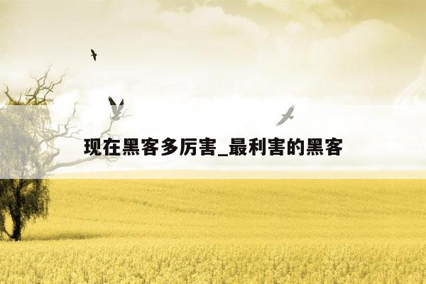 现在黑客多厉害_最利害的黑客