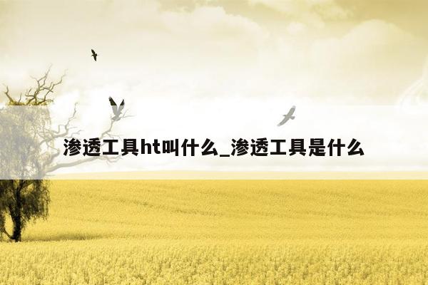 渗透工具ht叫什么_渗透工具是什么