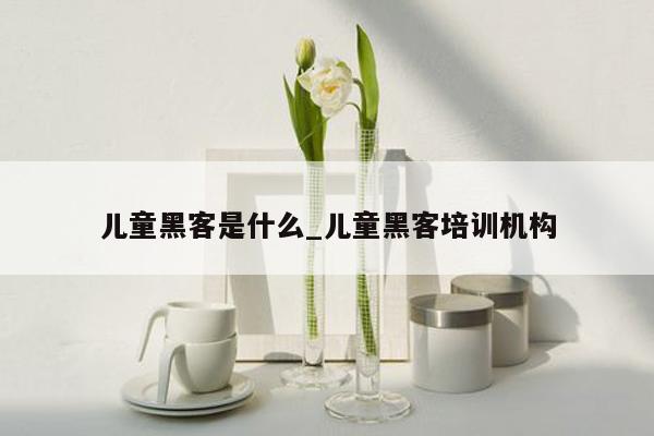 儿童黑客是什么_儿童黑客培训机构