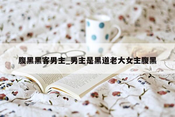 腹黑黑客男主_男主是黑道老大女主腹黑