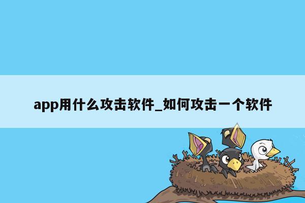 app用什么攻击软件_如何攻击一个软件