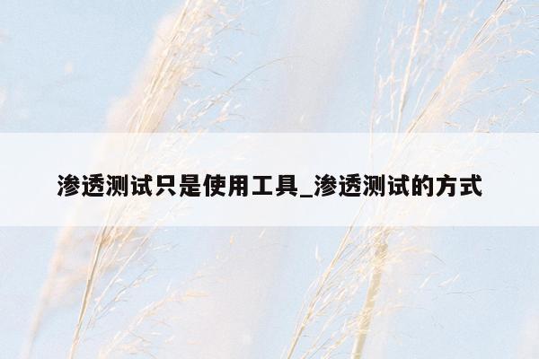 渗透测试只是使用工具_渗透测试的方式
